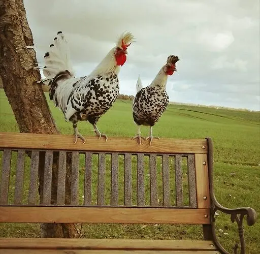 Appartement Fernblick
